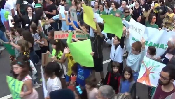 Manifestantes marchan contra la política ambiental de Bolsonaro en Río de Janeiro - Sputnik Mundo