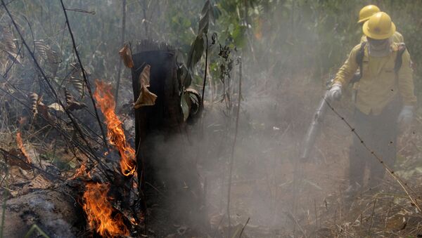 Bomberos apagando un incendio en la Amazonía brasileña - Sputnik Mundo