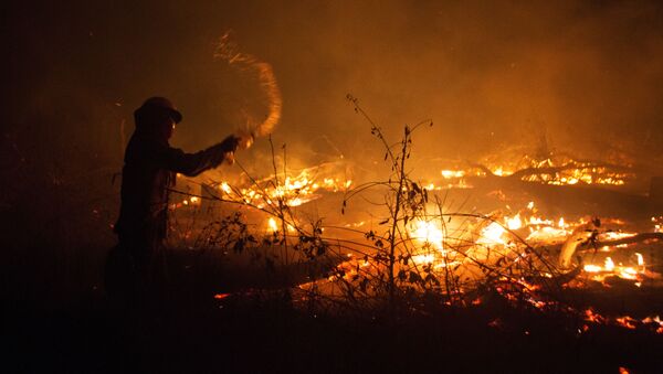 Incendios forestales en Bolivia - Sputnik Mundo