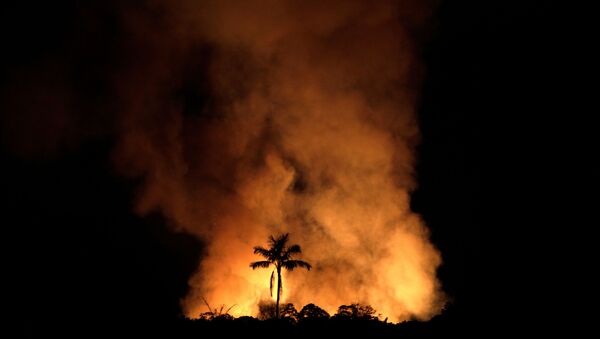 Incendios forestales en la amazonía brasileña - Sputnik Mundo