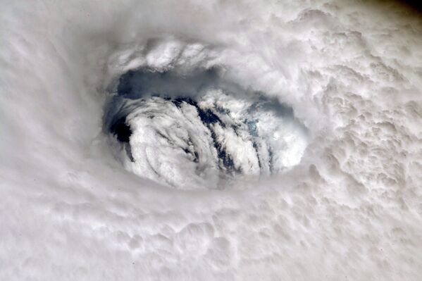 Peleas, huracanes y androides: las fotos más impactantes de la semana  - Sputnik Mundo