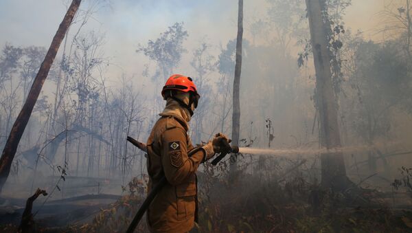 Un bombero apaga incendios en Amazonía - Sputnik Mundo