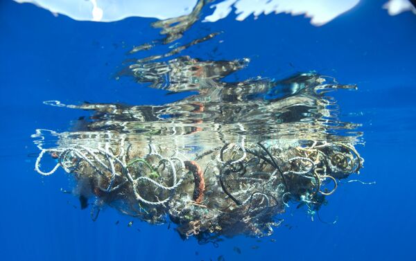 Muestra Out to Sea? The Plastic Garbage Project - Sputnik Mundo