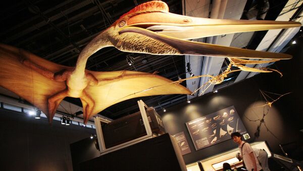 El pterosaurio Quetzalcoatlus (Archivo) - Sputnik Mundo