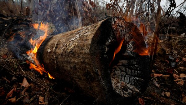 Incendios en la Amazonía continuan - Sputnik Mundo