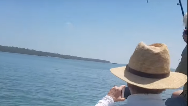 Un australiano pesca un enorme cocodrilo  - Sputnik Mundo