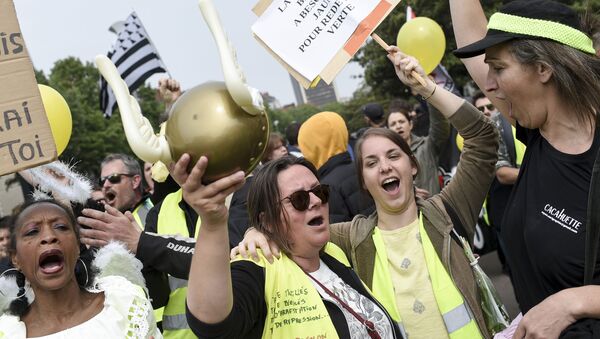 Manifestantes con chalecos amarillos sostienen pancartas en Nantes - Sputnik Mundo