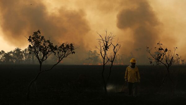Los incendios en Amazonía - Sputnik Mundo