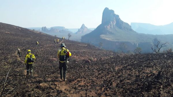 Consecuencias de los incendios forestales en Santa Cruz, Bolivia - Sputnik Mundo