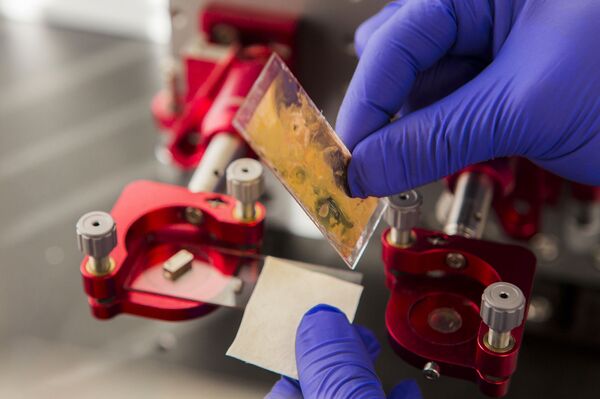 La instalación del sustrato de colágeno para la impresión de células - Sputnik Mundo