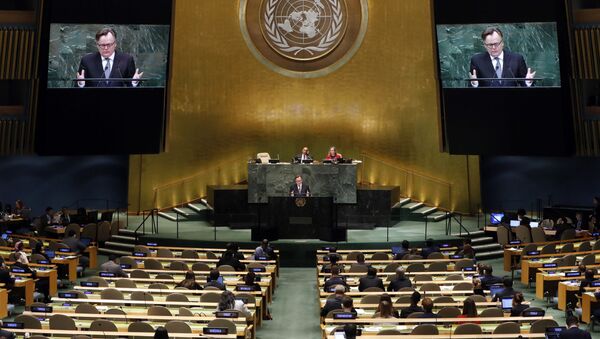 Una sesión de la Asamblea General de las Naciones Unidas (archivo) - Sputnik Mundo