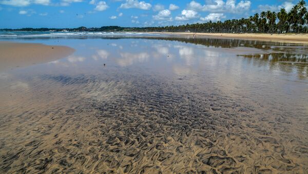 Petróleo en una playa en Brasil - Sputnik Mundo