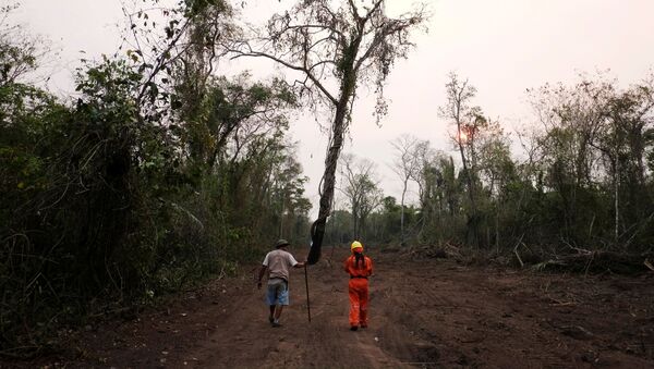Consecuencias de los incendios forestales en Bolivia - Sputnik Mundo