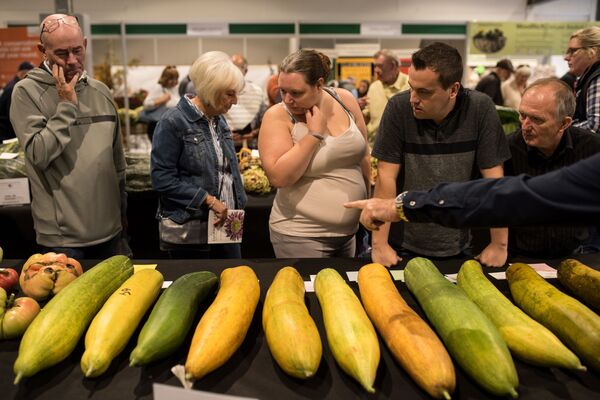 El tamaño sí importa: estas verduras gigantes te dejarán boquiabierto - Sputnik Mundo
