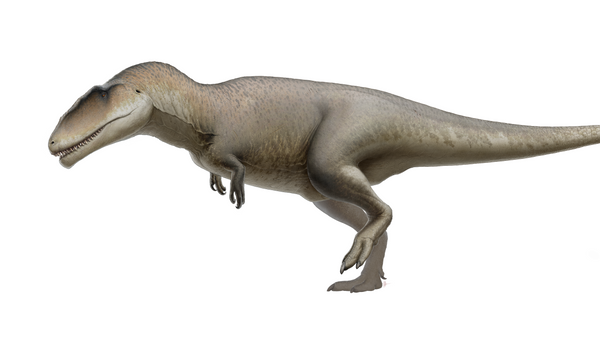 Un Carcharodontosauro, imagen creada por un artista - Sputnik Mundo