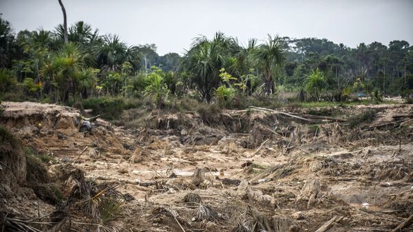 Deforestación causada por minería ilegal en la Amazonía peruana - Sputnik Mundo