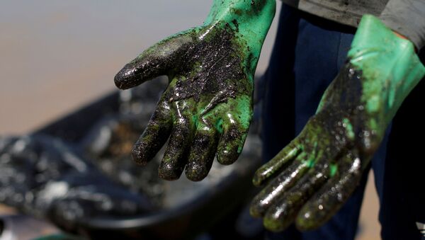 Las manos después de limpiar la playa del petróleo (archivo) - Sputnik Mundo