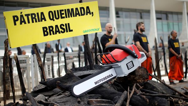 Protestas de Greenpeace en Brasil - Sputnik Mundo