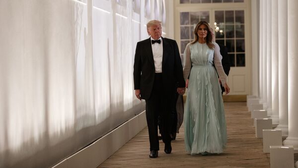 Donald Trump, presidente de EEUU, y su esposa, Melania - Sputnik Mundo