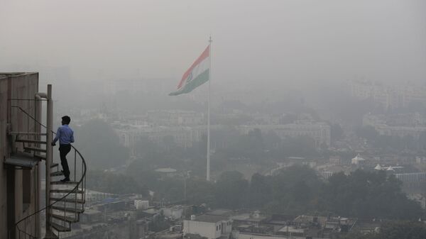 Contaminación atmosférica en Nueva Delhi - Sputnik Mundo