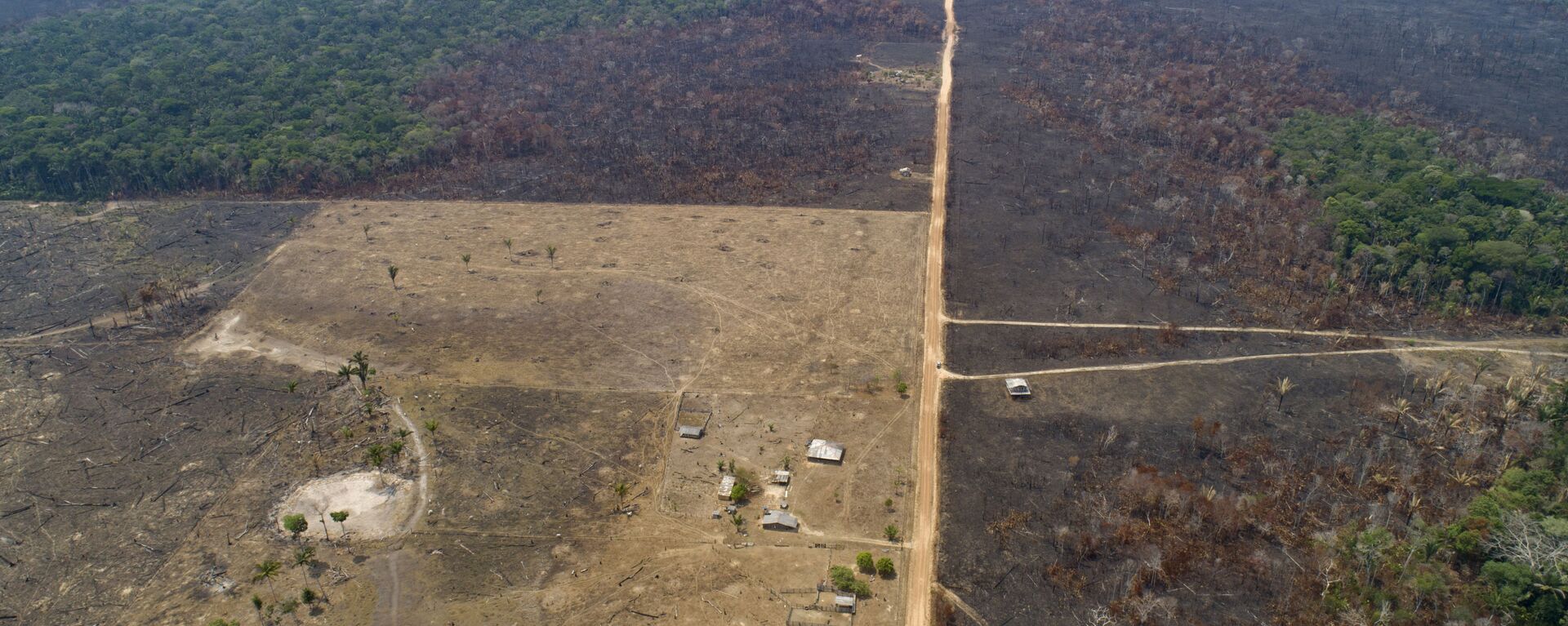 La deforestación en Amazonía - Sputnik Mundo, 1920, 22.04.2021