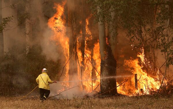 Bomberos intentan apagar incendios forestales en Australia - Sputnik Mundo