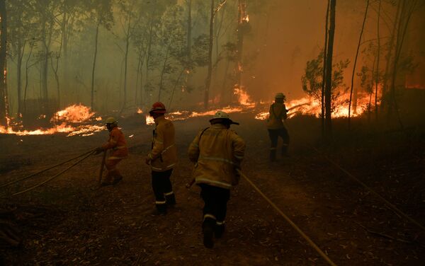 Bomberos intentan apagar un incendio forestal en Sydney, Australia - Sputnik Mundo