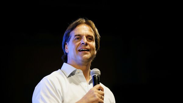 Luis Lacalle Pou, candidato presidencial uruguayo  - Sputnik Mundo