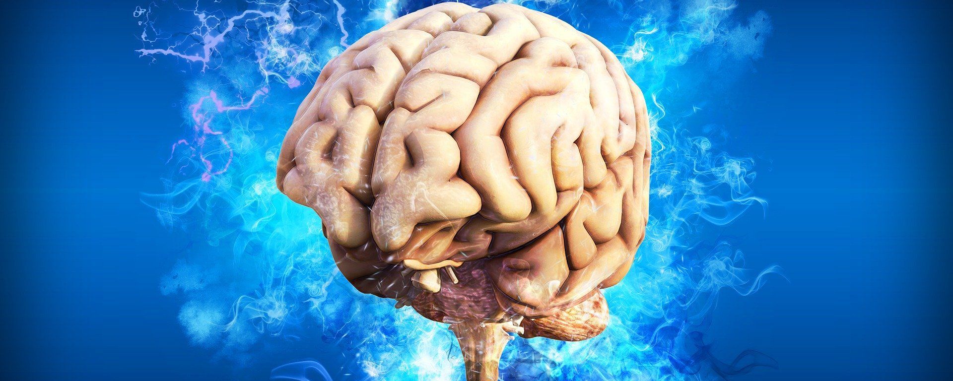 El cerebro humano, referencial - Sputnik Mundo, 1920, 25.03.2021