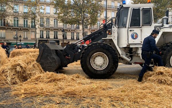 Protesta de agricultores en París - Sputnik Mundo