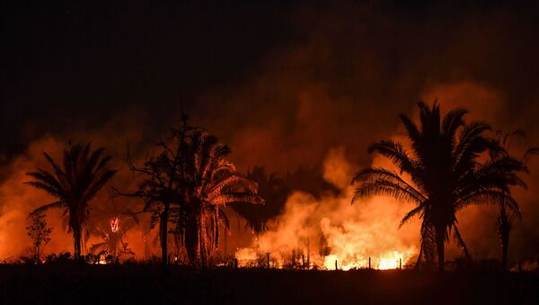 Incendios forestales en la Amazonía brasileña - Sputnik Mundo