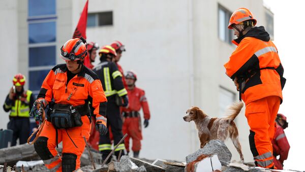 Operación de rescate tras el terremoto en Albania - Sputnik Mundo
