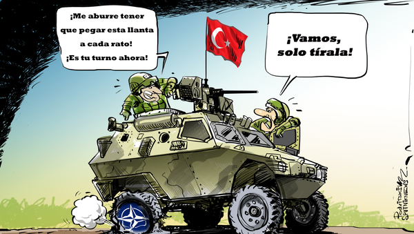 La OTAN ya no satisface a Turquía - Sputnik Mundo