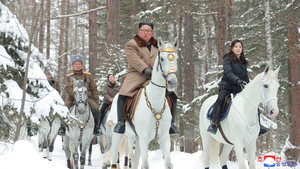 Kim Jong-un montado sobre un corcel blanco - Sputnik Mundo