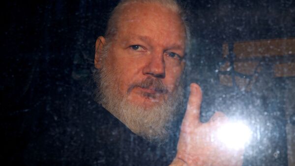 Julian Assange, fundador del portal de filtraciones WikiLeaks - Sputnik Mundo