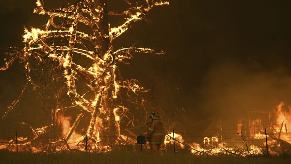 Incendios forestales en Australia - Sputnik Mundo