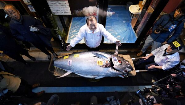 Kiyoshi Kimura junto al atún de 278 kilogramos - Sputnik Mundo