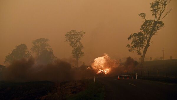 Los incendios forestales en Australia (archivo) - Sputnik Mundo