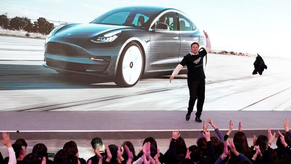 Elon Musk, el Ceo de Tesla - Sputnik Mundo