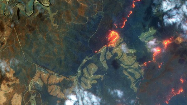 Una imagen satelital de los incendios en Australia - Sputnik Mundo