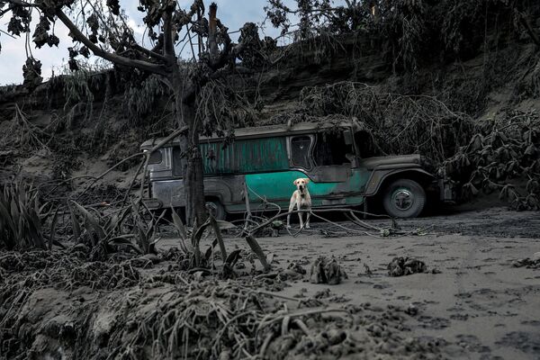 Bajo cenizas: así se ve Filipinas después de la erupción del volcán Taal
 - Sputnik Mundo