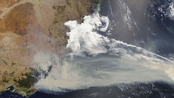 Incendios forestales en Australia desde el espacio - Sputnik Mundo