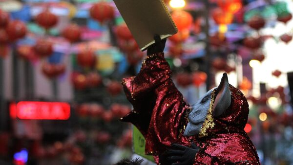 Los festejos del Año Nuevo chino de la rata de metal en ciudad de México - Sputnik Mundo