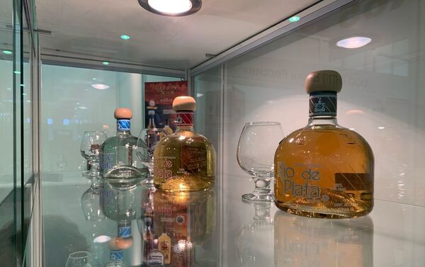 Bebidas alcohólicas de la compañía mexicana Tequilas del Señor  - Sputnik Mundo