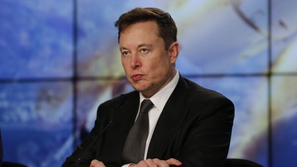 Elon Musk, director general de Tesla y SpaceX - Sputnik Mundo
