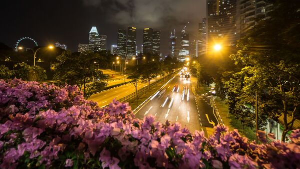 El panorama nocturno de Singapur - Sputnik Mundo