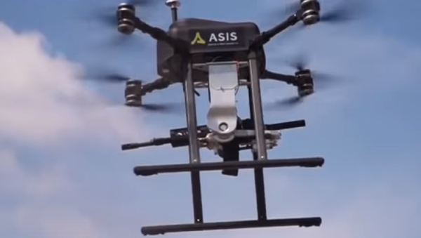 El dron Songar, desarrollado por la empresa turca Asisguard - Sputnik Mundo