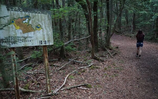 El bosque de suicidas en Japón - Sputnik Mundo