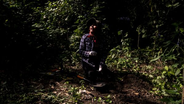 Familias de desaparecidos denuncian campos de exterminio en Veracruz - Sputnik Mundo