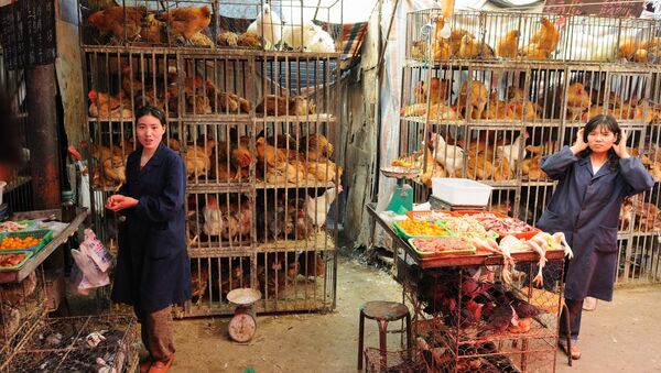 Un mercado de animales en Xining, China - Sputnik Mundo